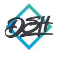 Логотип бренда DSH