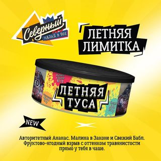 Купить Табак Ветер Северный - Летняя туса (100 г)