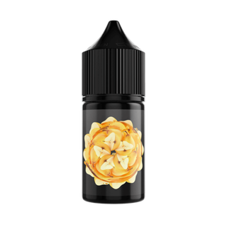 Купить Soak L Salt 30 мл - Baked Pear (20 мг)