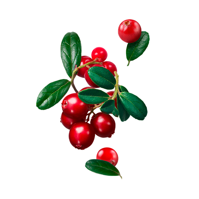 Табак Starline - Клюква 25 г