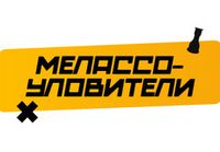 Купить Мелассоуловители